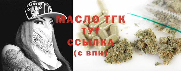 ECSTASY Богородицк